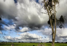 西班牙球队排名是怎样的？不同赛事和维度下的排名解析