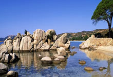 2022年卡塔尔世界杯决赛全程是怎样的？